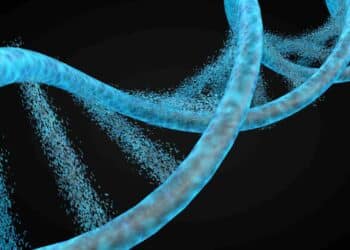 De la A a la T: la fascinante historia de cómo tu ADN define quién eres.