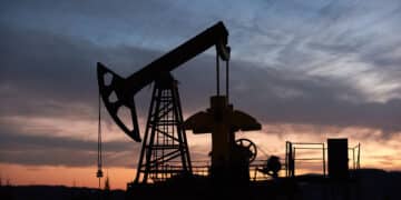 La biología del petróleo ⛽