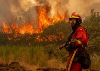 España arde: la crisis de los incendios
