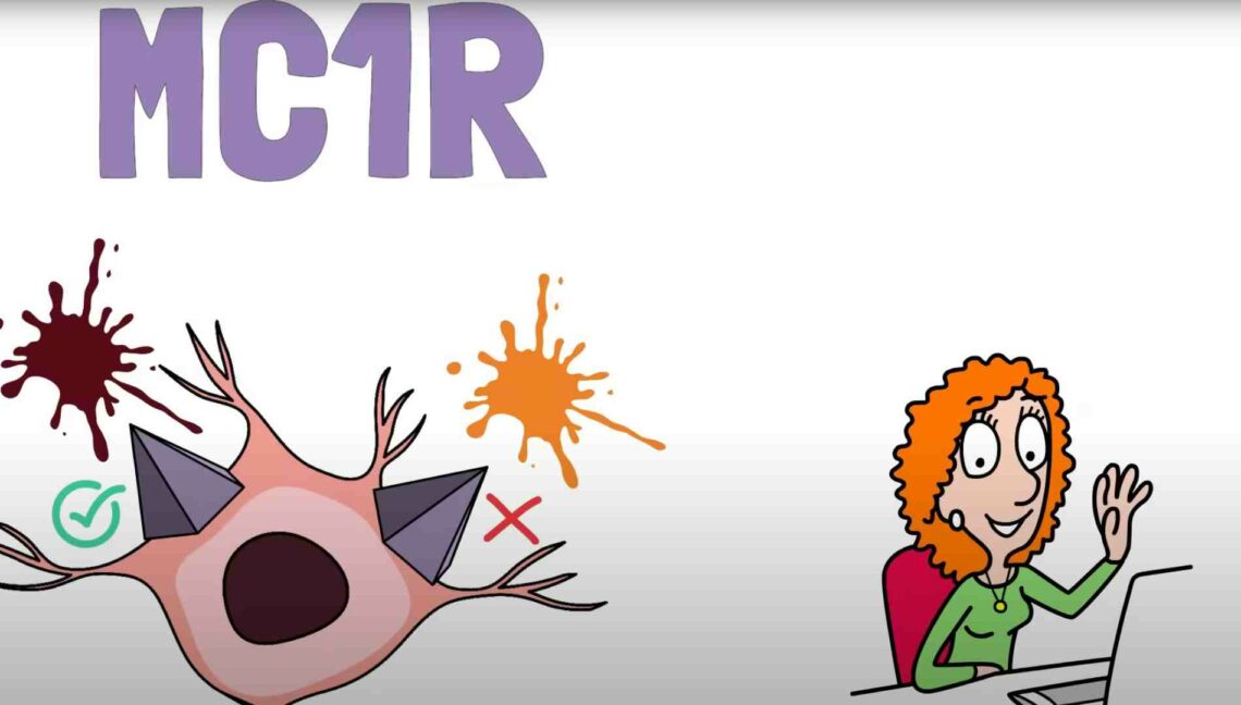 Historia del cabello pelirrojo