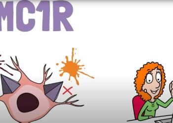 Historia del cabello pelirrojo