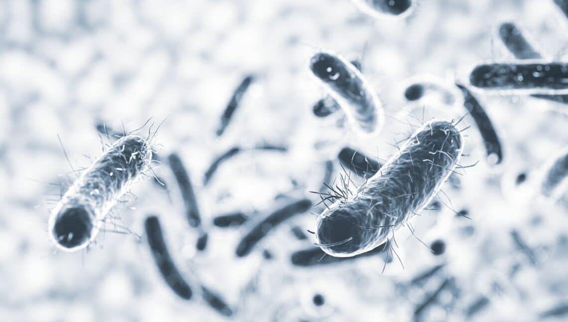 La grave amenaza que representan las superbacterias.