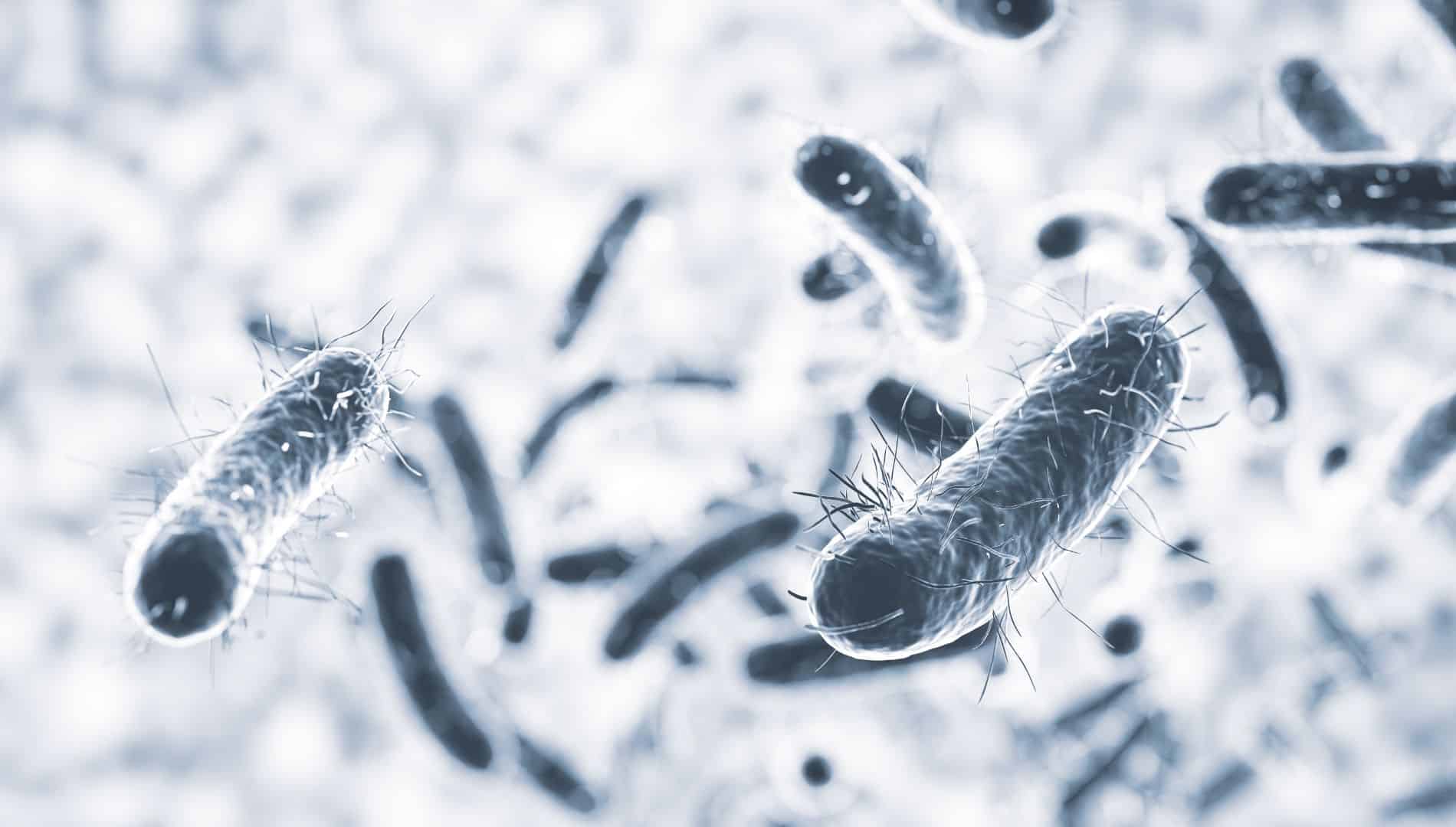 La grave amenaza que representan las superbacterias.