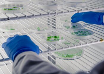 Cómo usamos a los MICROORGANISMOS para nuestro beneficio🦠