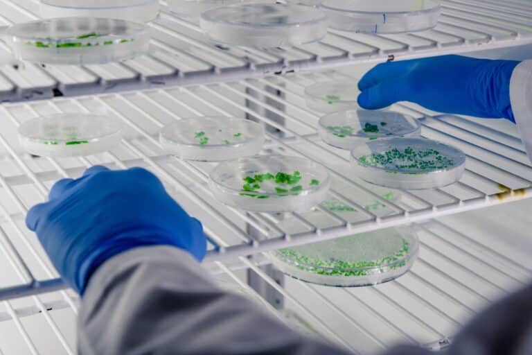 Cómo usamos a los MICROORGANISMOS para nuestro beneficio🦠