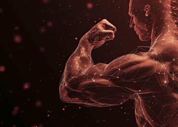 Así funcionan los músculos