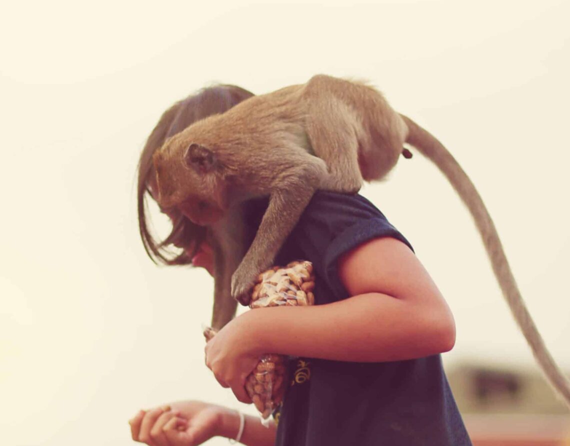 ¿Cuándo y por qué perdimos la cola?