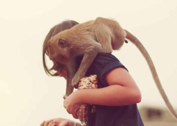 ¿Cuándo y por qué perdimos la cola?
